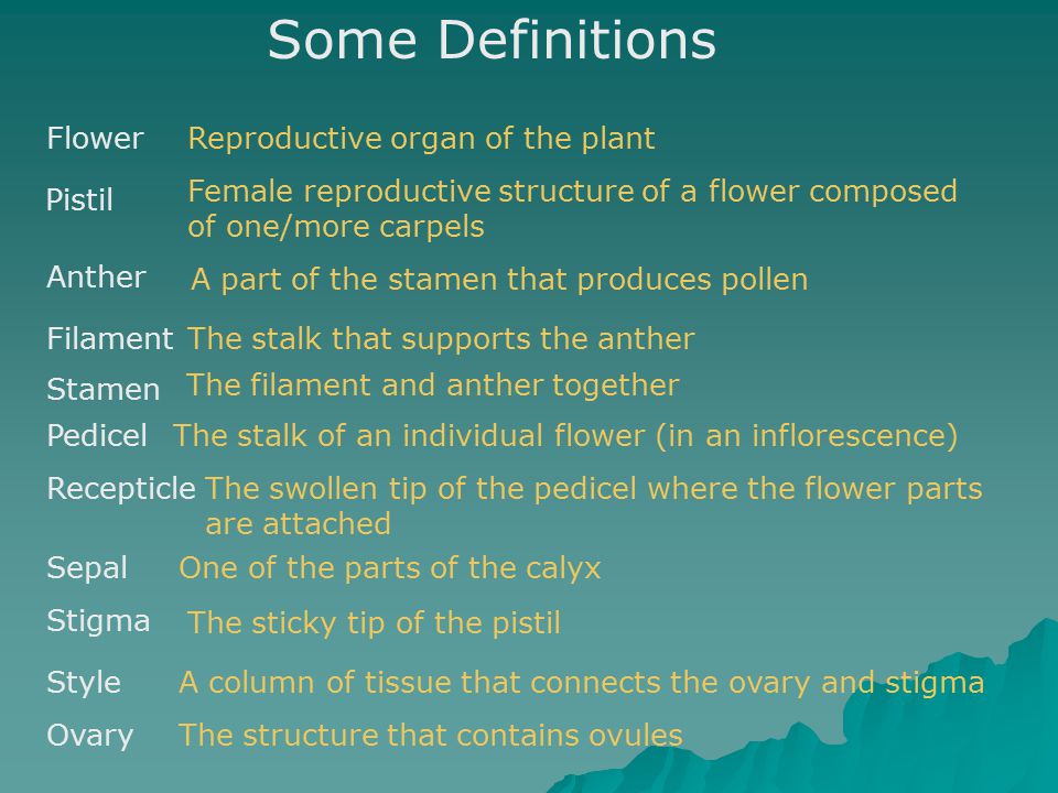 Some Definitions Flower Reproductive organ of the plant