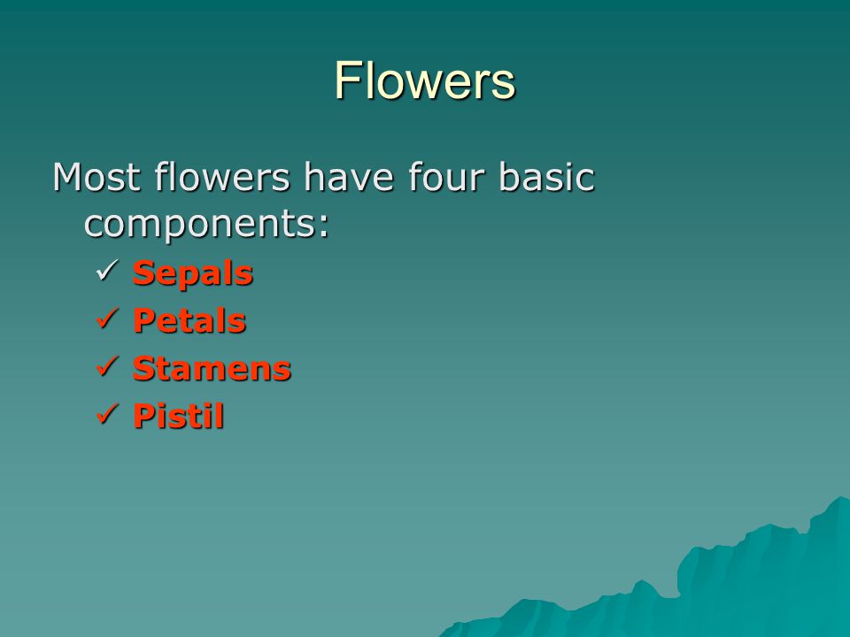 Flowers Most flowers have four basic components: Sepals Petals Stamens
