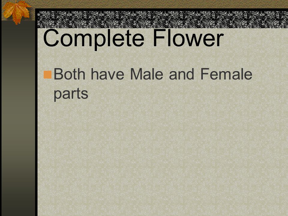 Complete Flower Both have Male and Female parts
