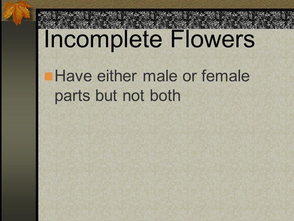 Incomplete Flowers Have either male or female parts but not both