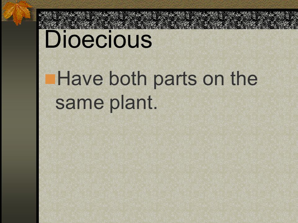 Dioecious Have both parts on the same plant.
