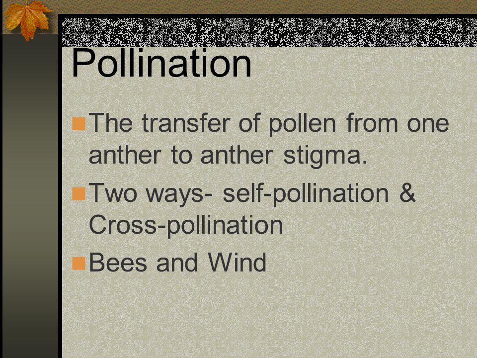 Pollination The transfer of pollen from one anther to anther stigma.