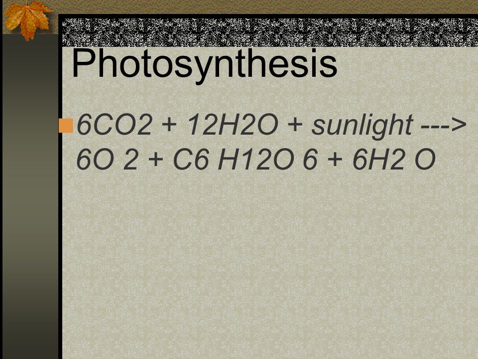 Photosynthesis 6CO2 + 12H2O + sunlight ---> 6O 2 + C6 H12O 6 + 6H2 O