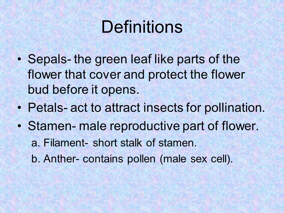 Definitions Sepals- the green leaf like parts of the flower that cover and protect the flower bud before it opens.