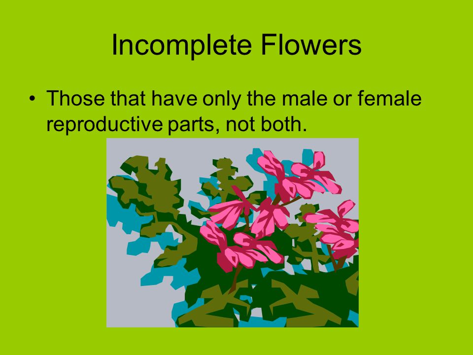 Incomplete Flowers Those that have only the male or female reproductive parts, not both.
