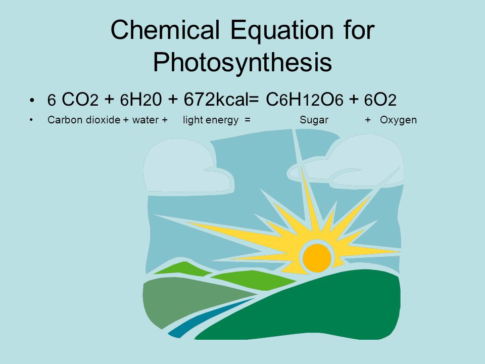 Chemical Equation for Photosynthesis