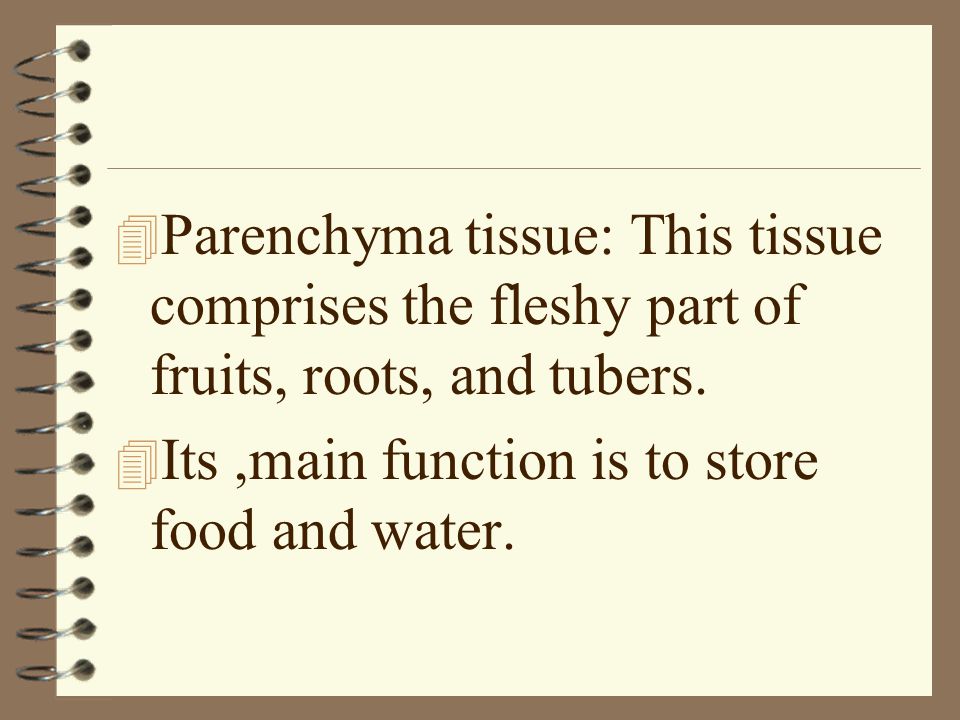 Parenchyma tissue: This tissue comprises the fleshy part of fruits, roots, and tubers.