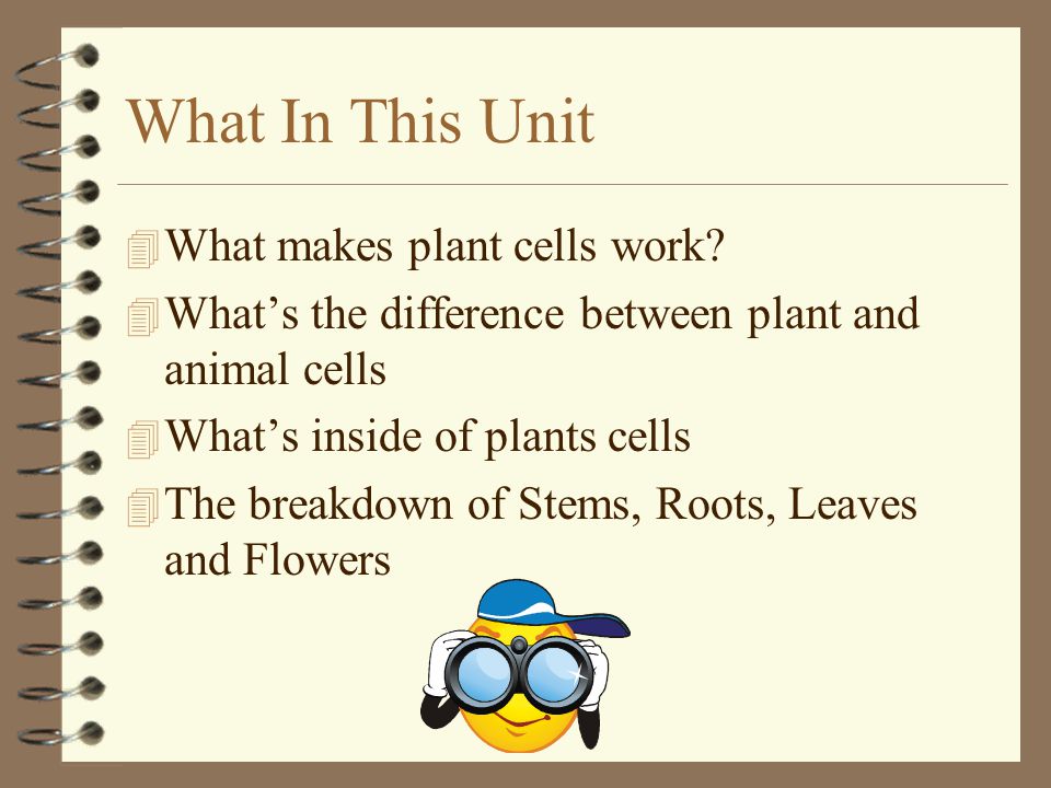 What In This Unit What makes plant cells work