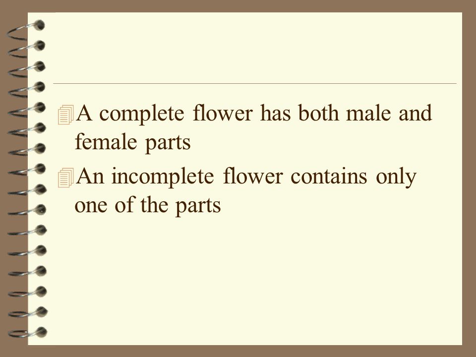 A complete flower has both male and female parts