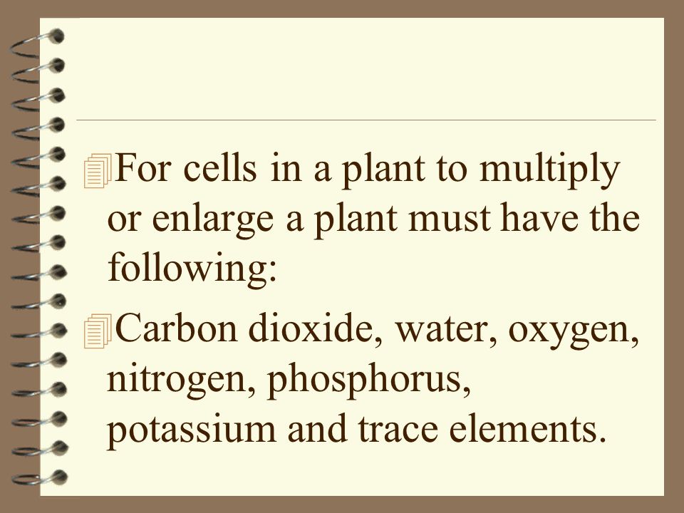 For cells in a plant to multiply or enlarge a plant must have the following: