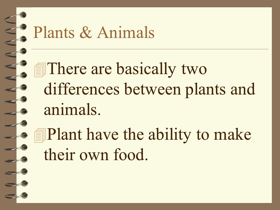 Plants & Animals There are basically two differences between plants and animals.