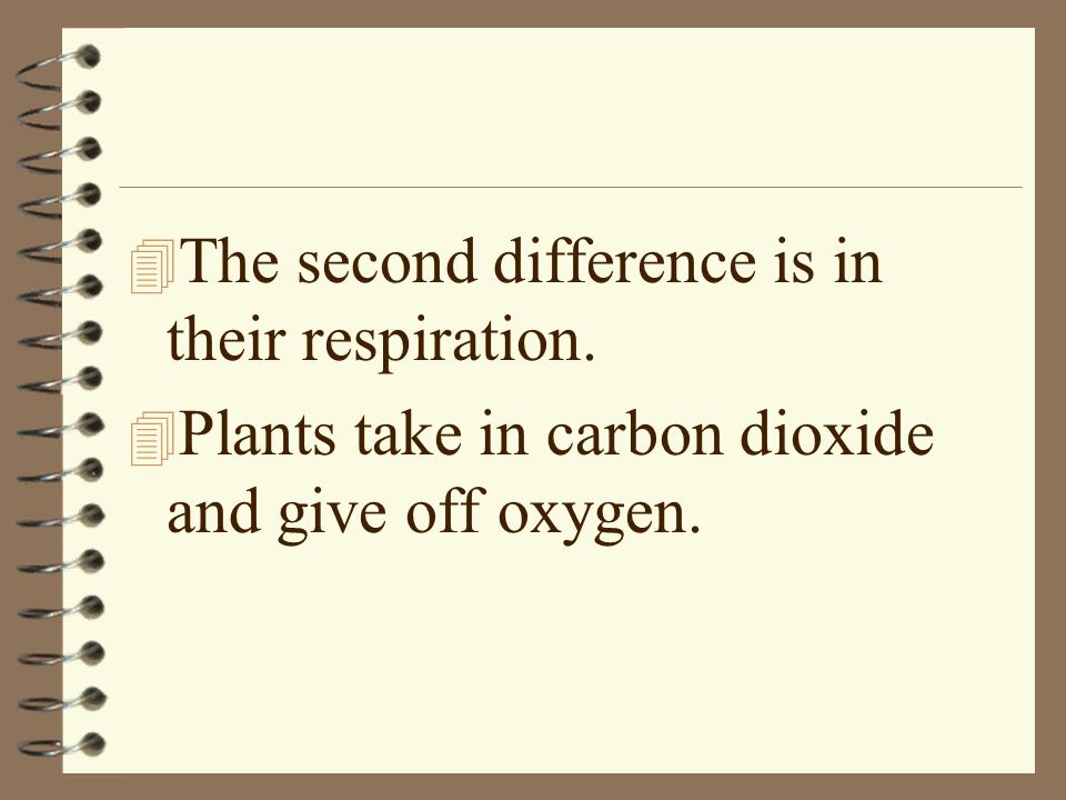 The second difference is in their respiration.