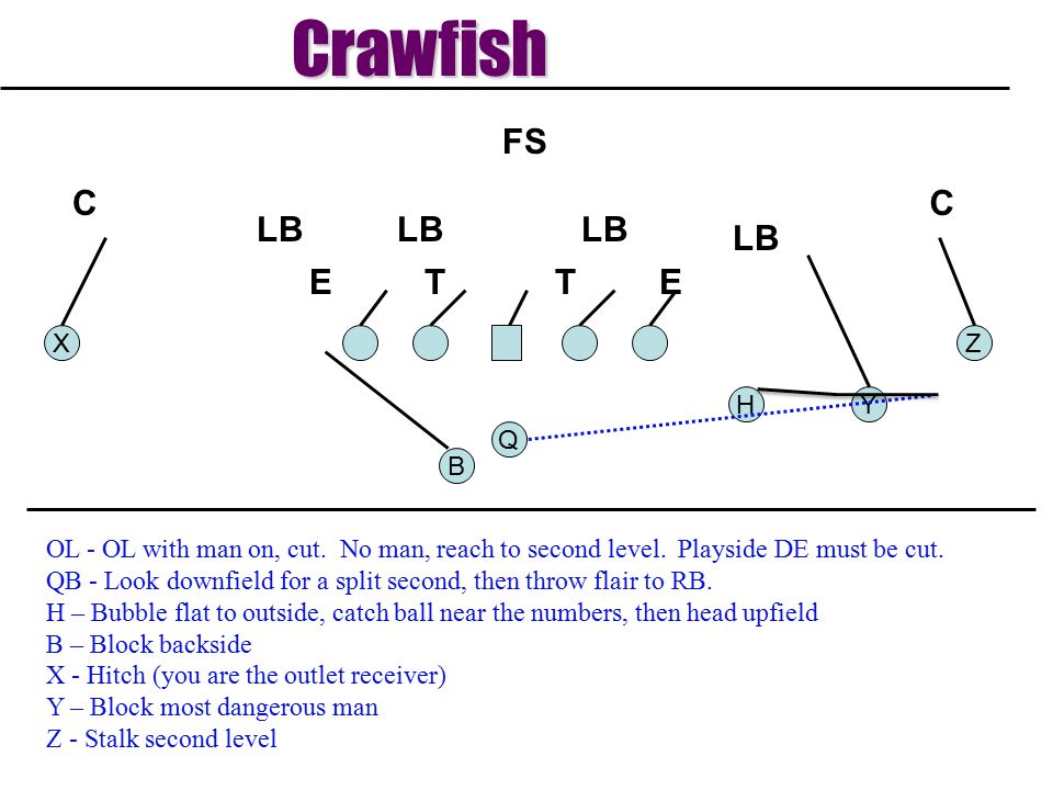 Crawfish T E LB C FS X Z H Y Q B