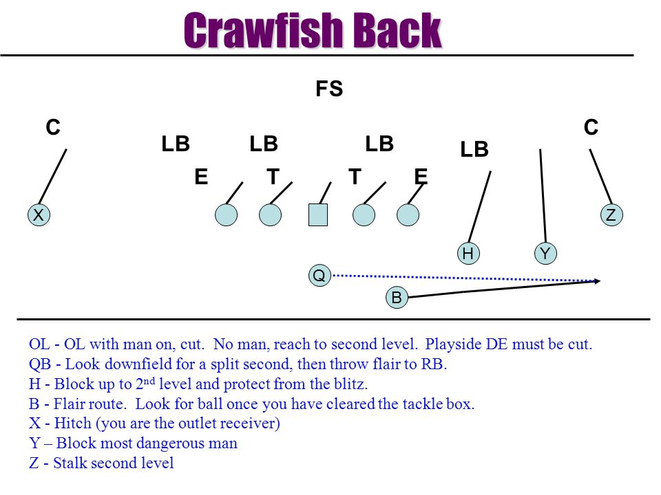 Crawfish Back T E LB C FS X Z H Y Q B