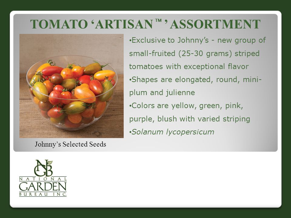 Tomato ‘Artisan  ’ assortment