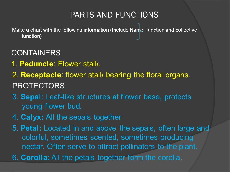 Flower Parts And Functions Chart