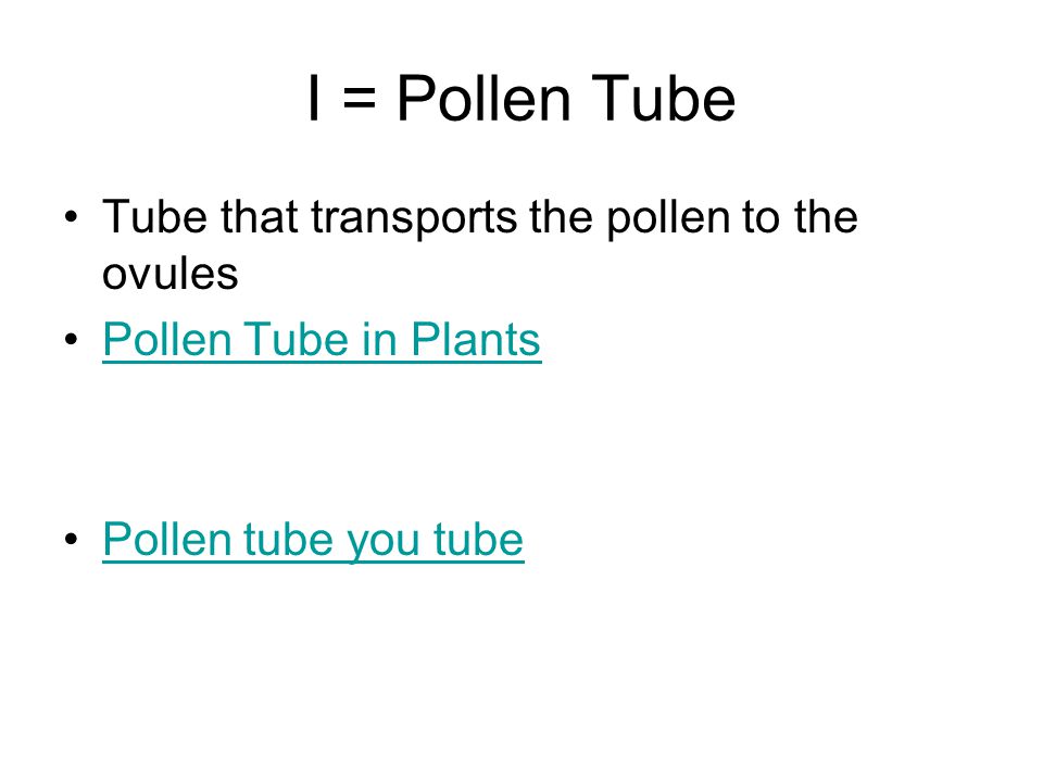 I = Pollen Tube Tube that transports the pollen to the ovules