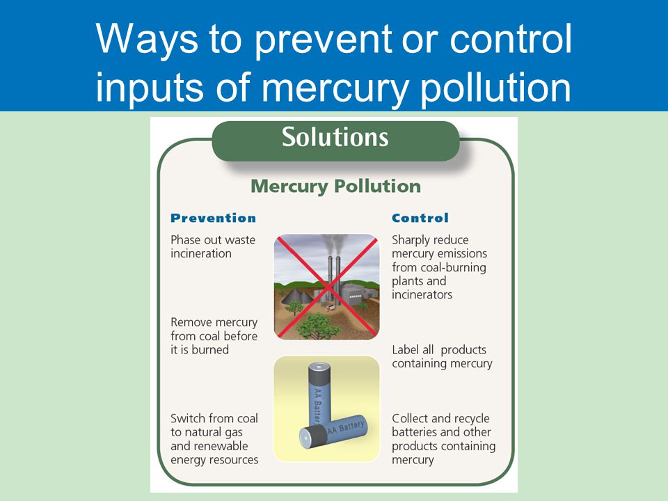 Environmental Hazards And Human Health - Ppt Video Online Download