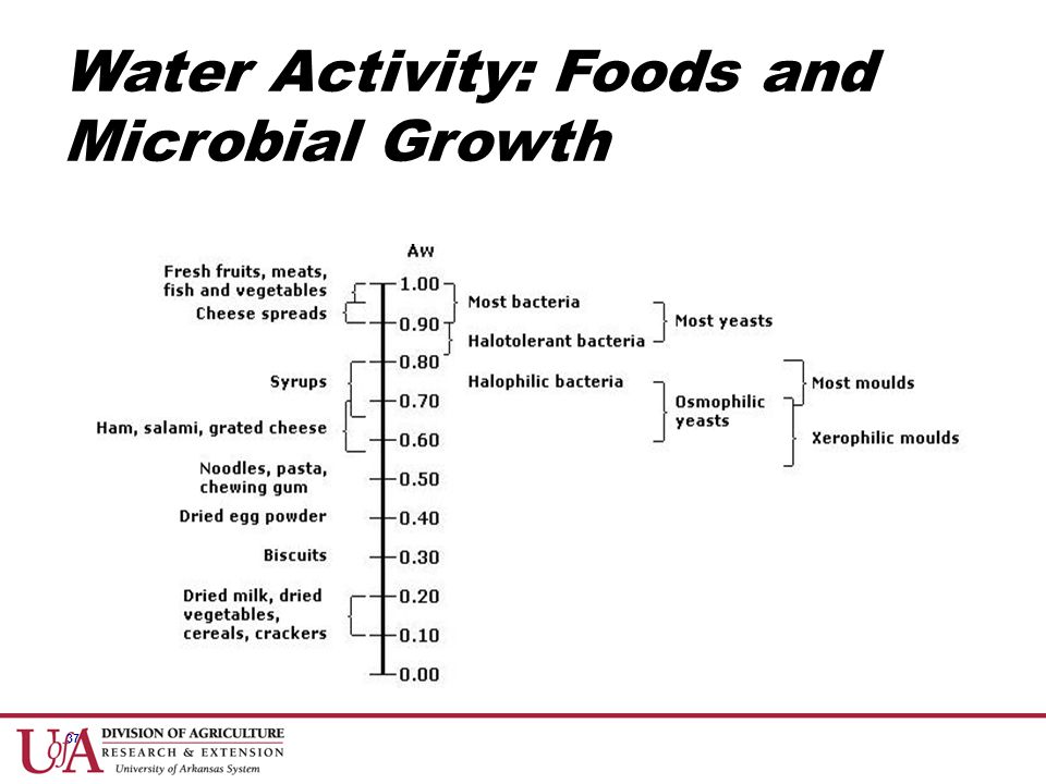 Introduction to Food Safety and Microbiology - ppt video online download