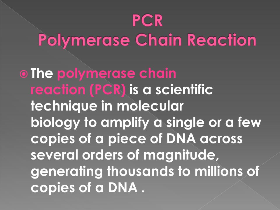 PCR Polymerase Chain Reaction