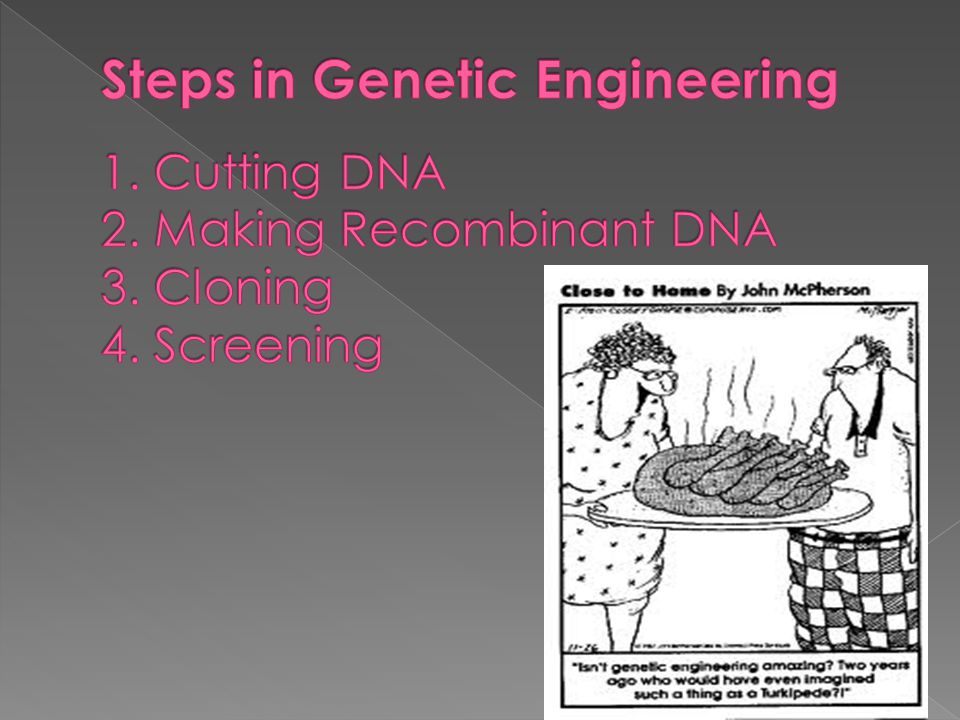 Steps in Genetic Engineering 1. Cutting DNA 2. Making Recombinant DNA 3. Cloning 4. Screening