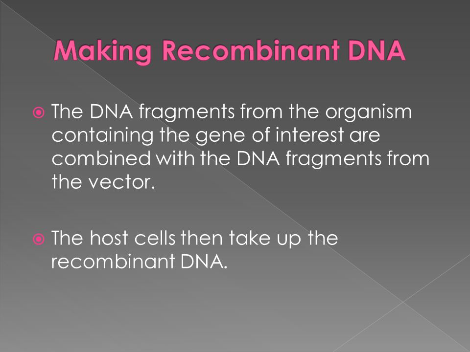 Making Recombinant DNA