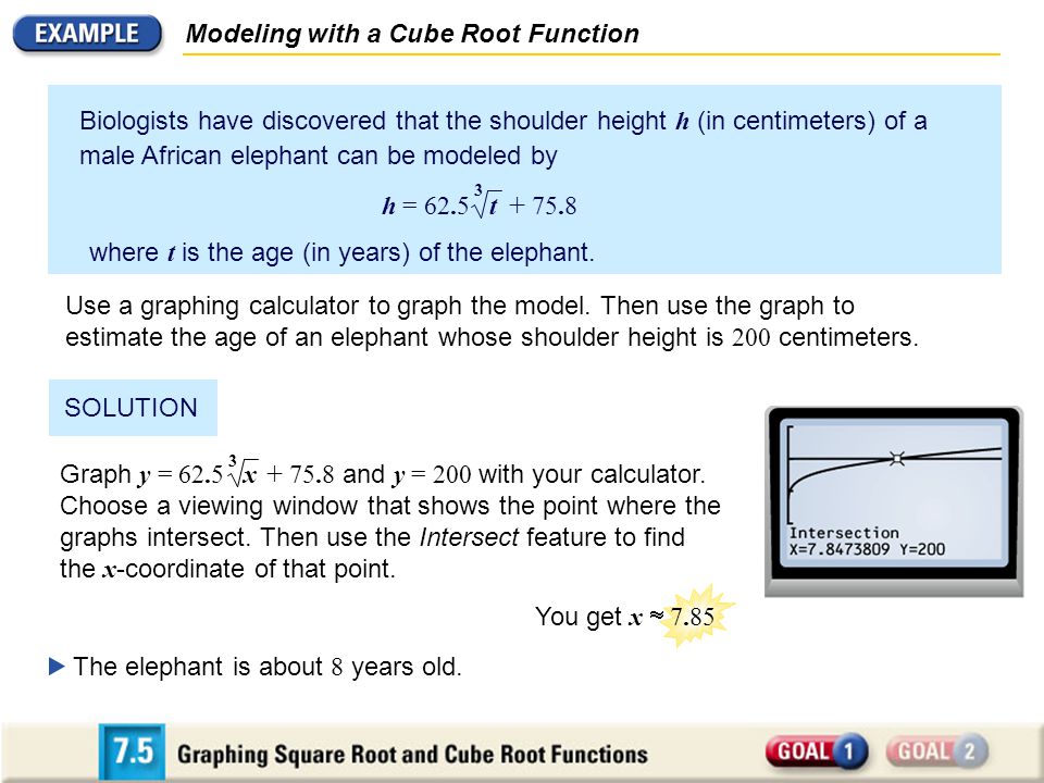 Modeling with a Cube Root Function