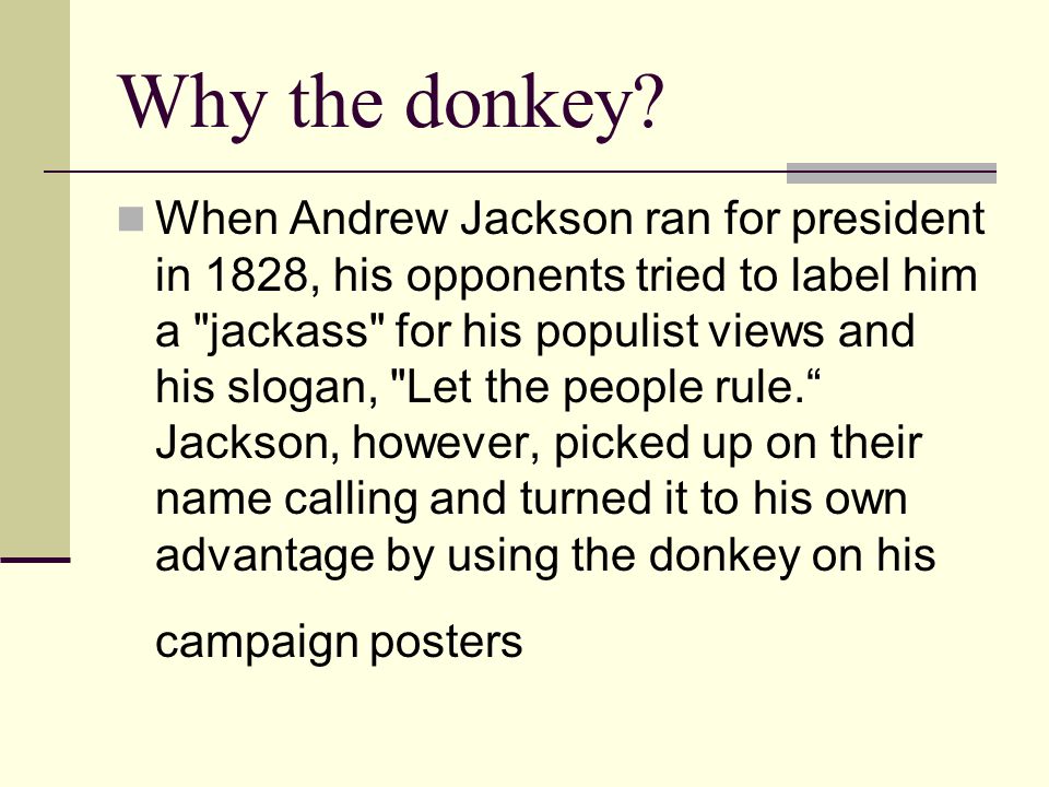 Why the donkey