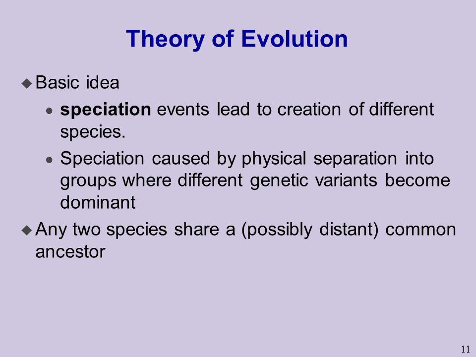 Theory of Evolution Basic idea