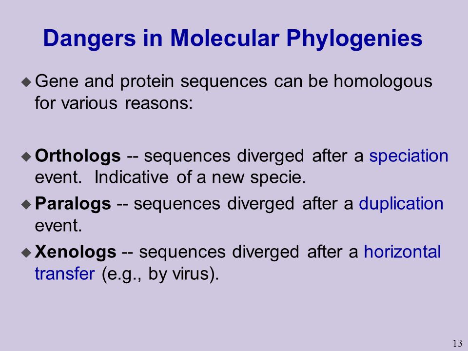 Dangers in Molecular Phylogenies