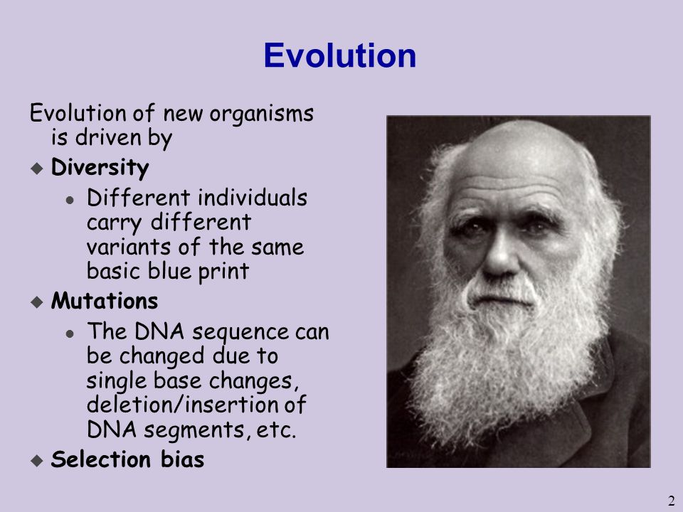 Evolution Evolution of new organisms is driven by Diversity