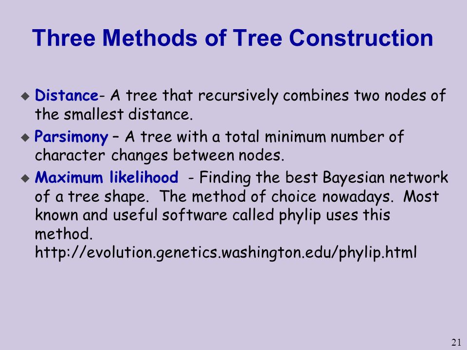 Three Methods of Tree Construction