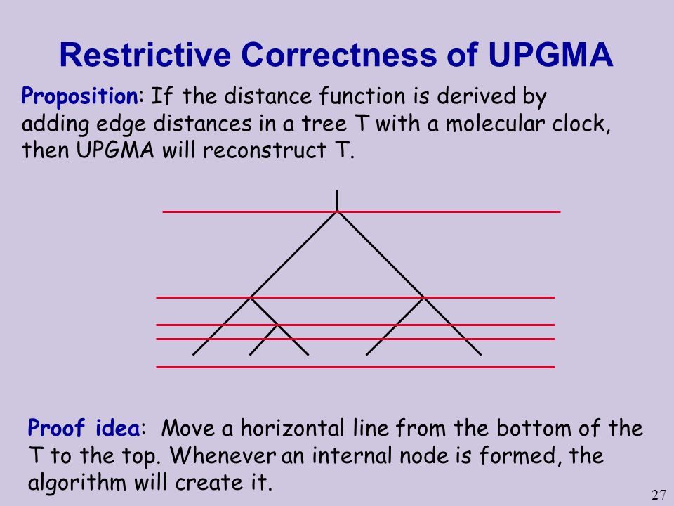 Restrictive Correctness of UPGMA