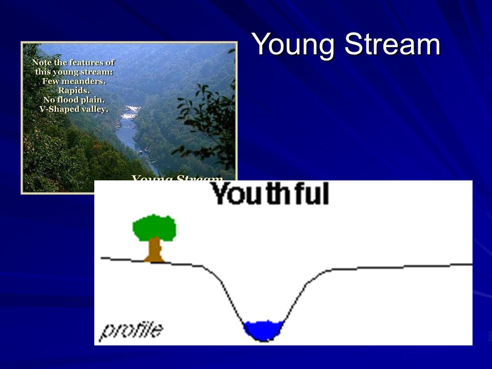 Young Stream