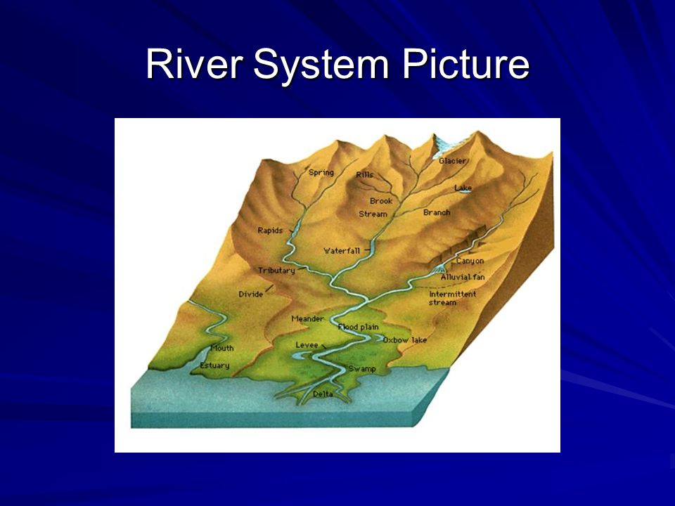 River System Picture