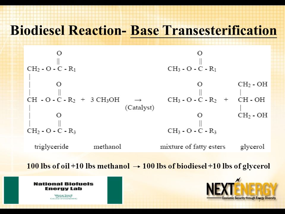 Biodiesel Reaction- Base Transesterification