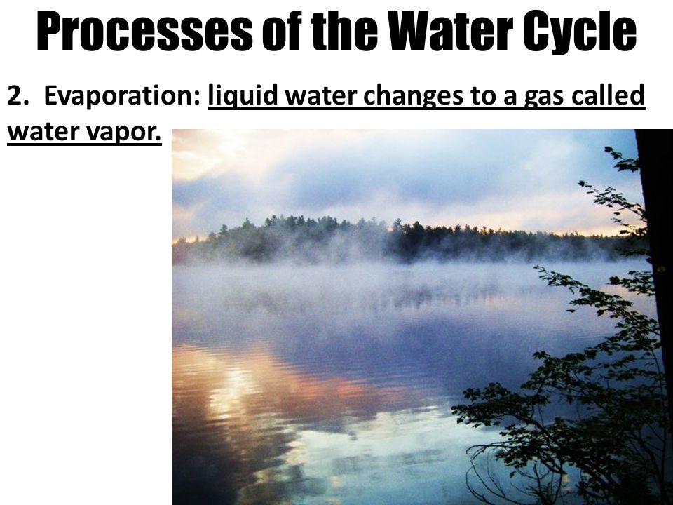 Processes of the Water Cycle