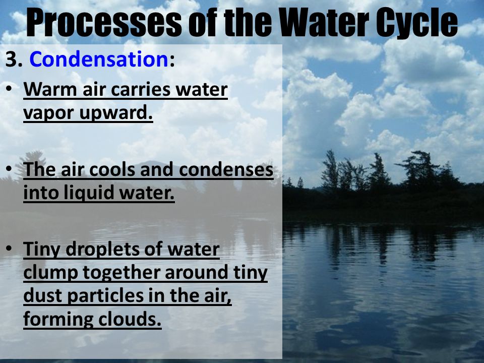 Processes of the Water Cycle