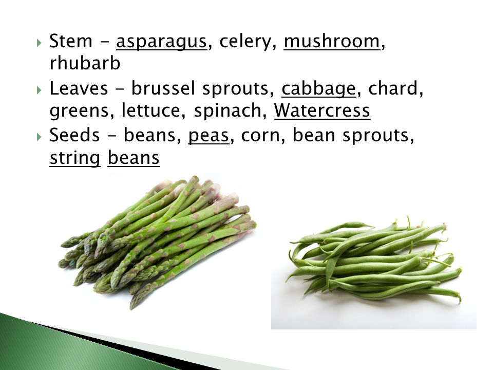 Stem - asparagus, celery, mushroom, rhubarb