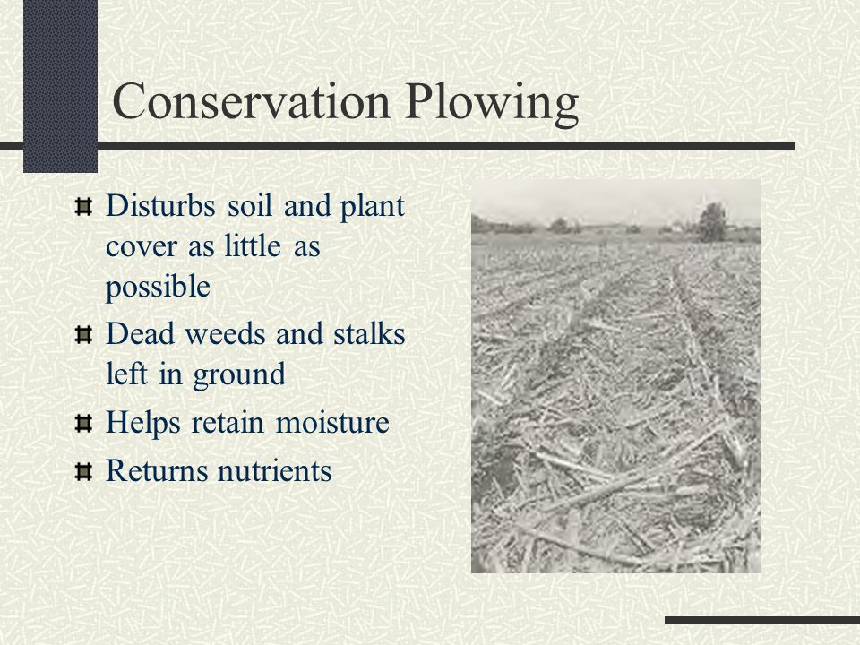 Conservation Plowing Disturbs soil and plant cover as little as possible. Dead weeds and stalks left in ground.