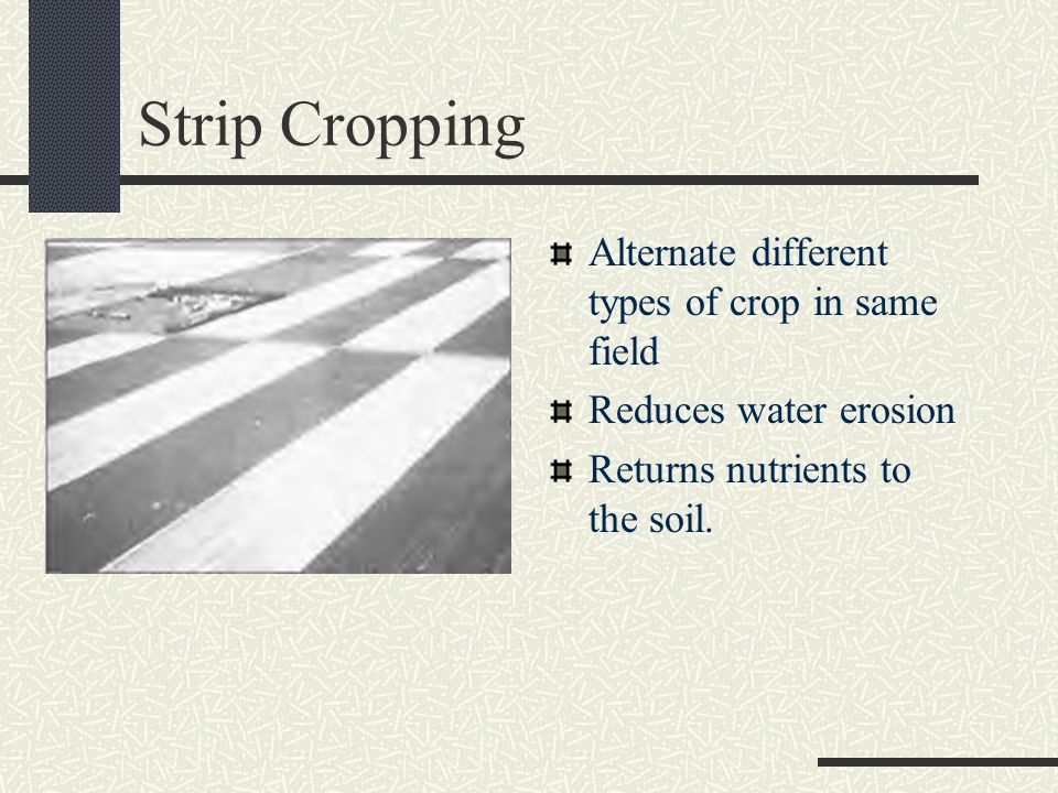 Strip Cropping Alternate different types of crop in same field