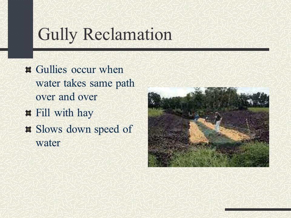 Gully Reclamation Gullies occur when water takes same path over and over.
