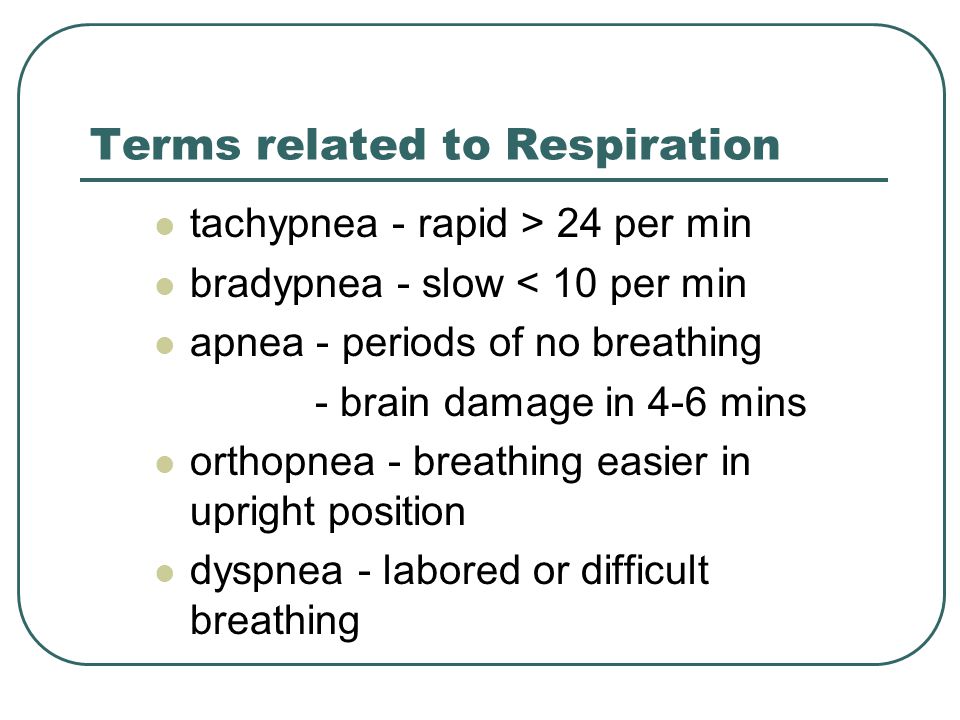 TPR and Peripheral Pulses - ppt video online download