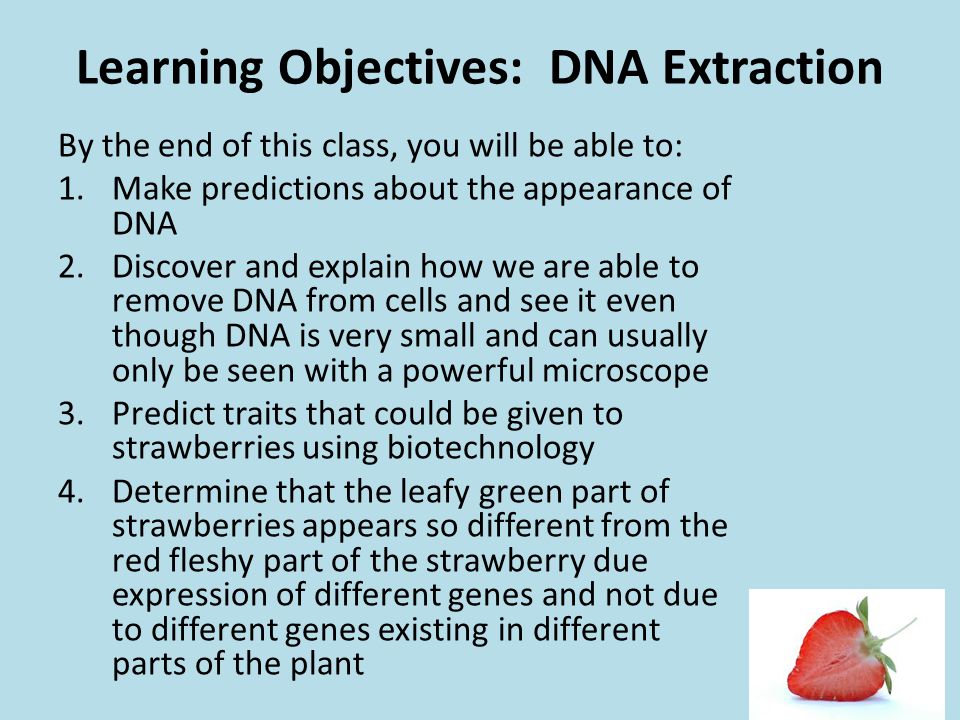 strawberry dna extraction lab questions