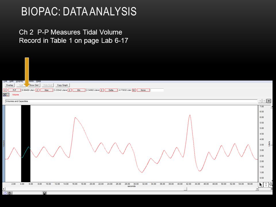 Biopac: Data Analysis Ch 2 P-P Measures Tidal Volume