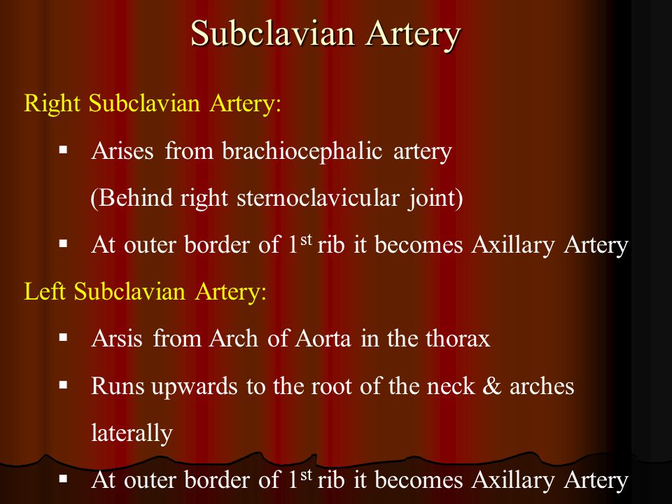 Subclavian Artery Right Subclavian Artery: