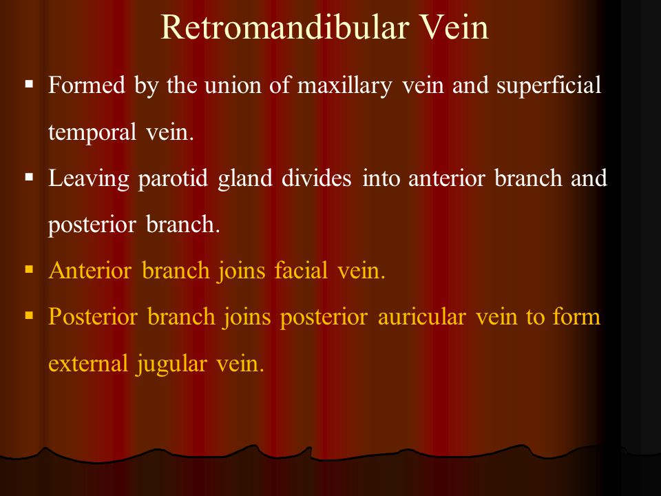 Retromandibular Vein Formed by the union of maxillary vein and superficial temporal vein.