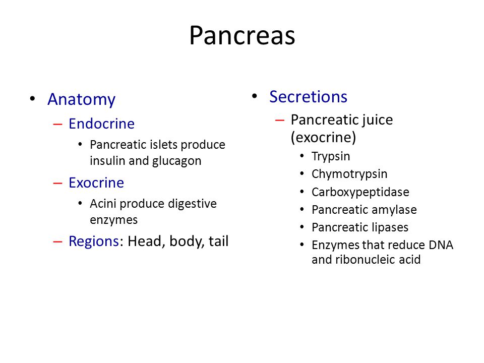 Phases Of Gastric Secretion Ppt Video Online Download Phases Of Gastric Secretion Ppt Video Online Download