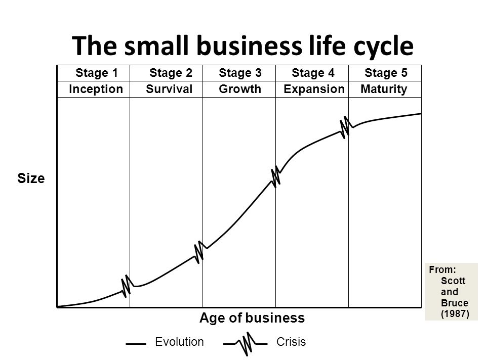 Стейдж 5. Business Life Cycle. Five Stages of a Business Lifecycle. 5 Stages of Business Lifecycle. Business Cycle Stages.