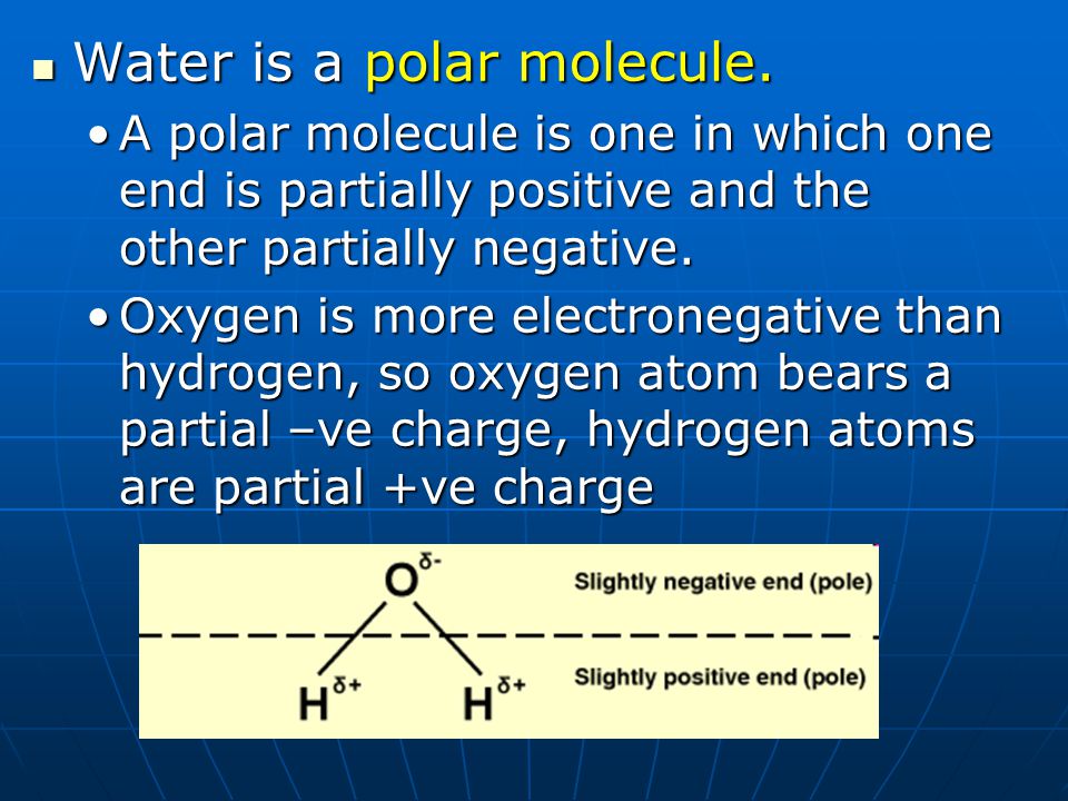 Water is a polar molecule.